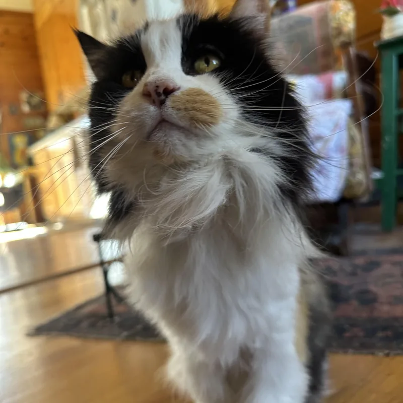 Gladys In Colorado thumbnail 2