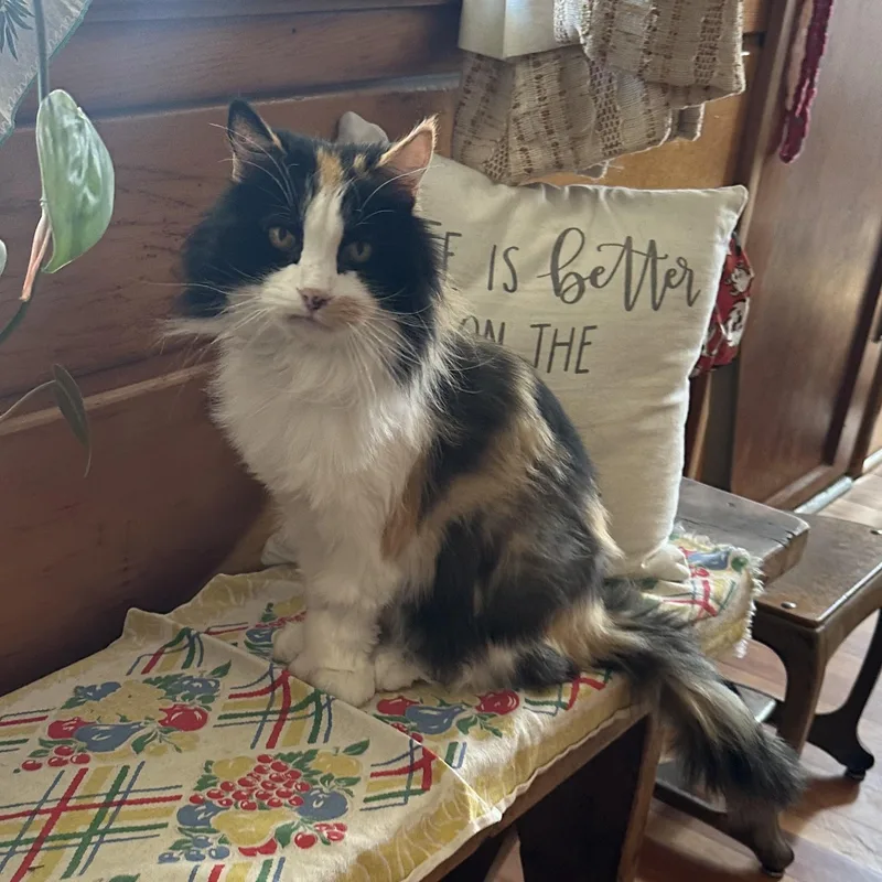 Gladys In Colorado thumbnail 3