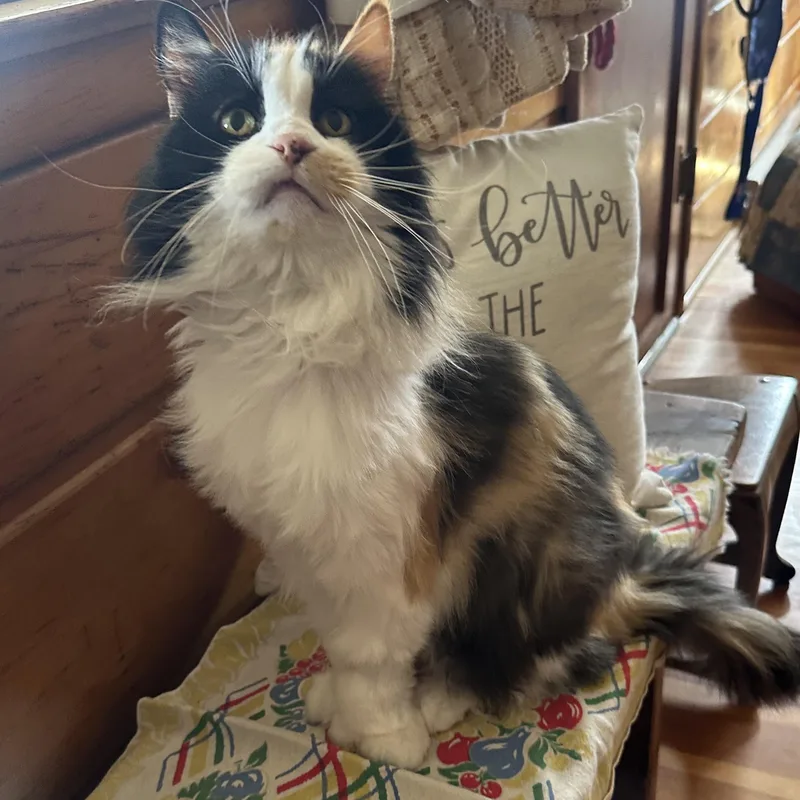 Gladys In Colorado thumbnail 4