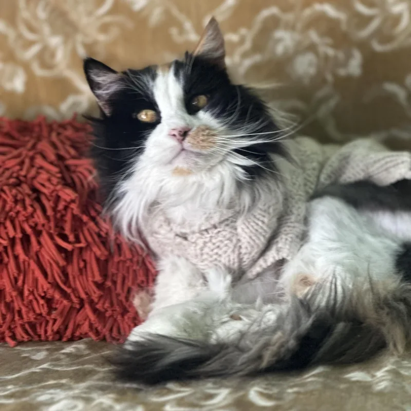 Gladys In Colorado thumbnail 5