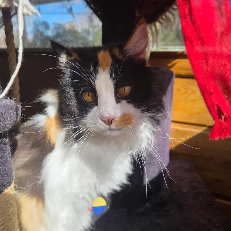 Gladys In Colorado thumbnail 6