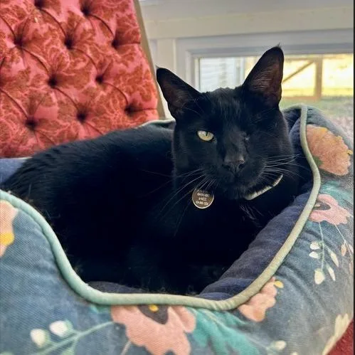 Buster Bluth thumbnail 2