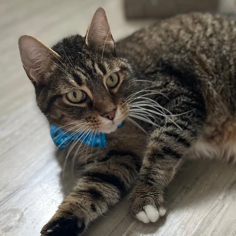 Hey It's Franklin thumbnail 2