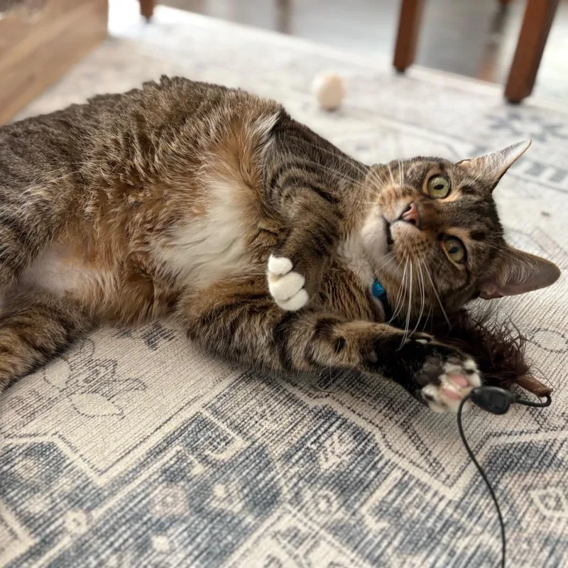 Hey It's Franklin thumbnail 3