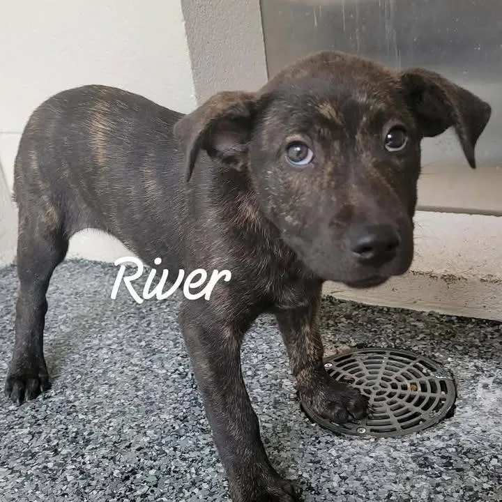 River