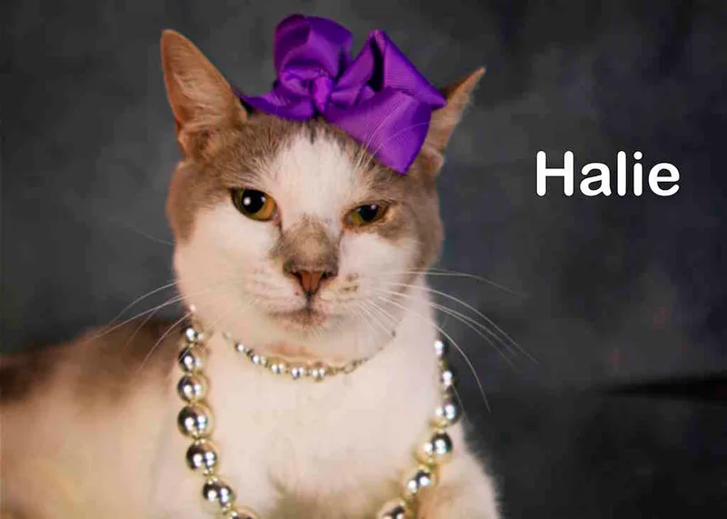 Halie thumbnail 2