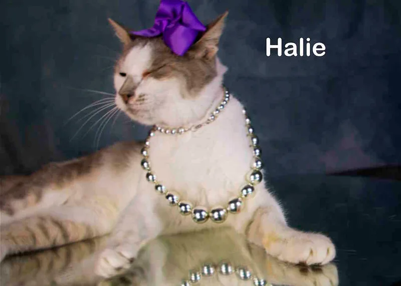 Halie thumbnail 3