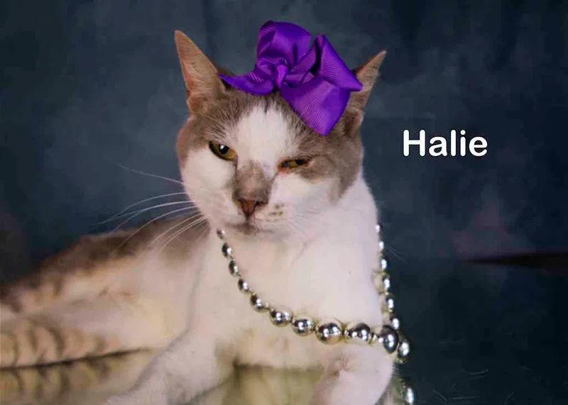 Halie thumbnail 4