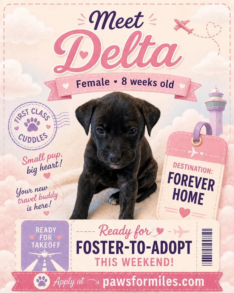 Delta