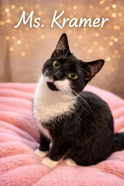 Miss Kramer thumbnail 2