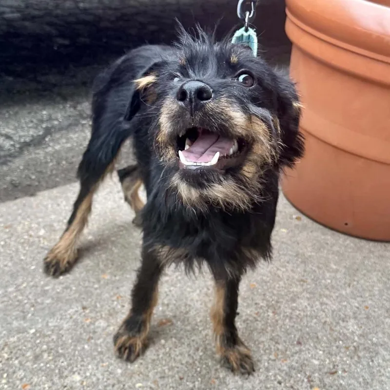 Polly Pocket K thumbnail 2