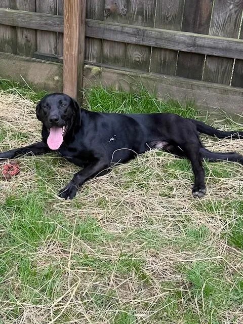 Jett Knox ~ Amazing thumbnail 3