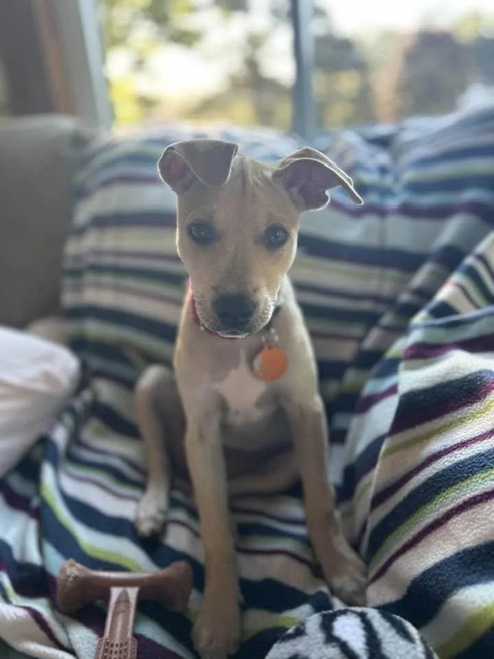 Avery thumbnail 3