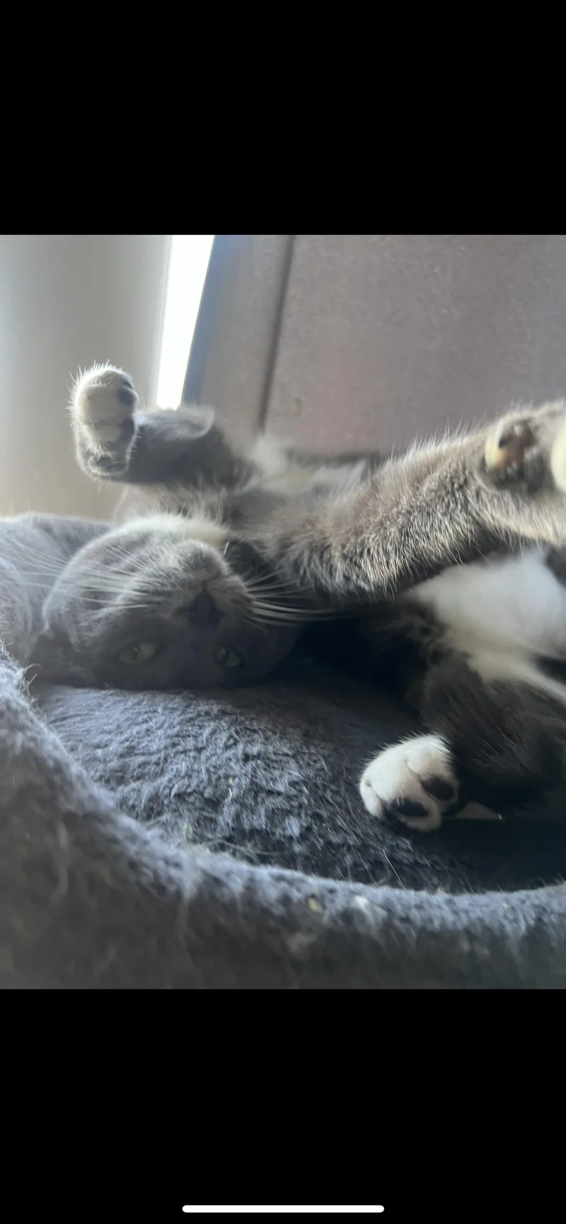 Bing Bong thumbnail 2