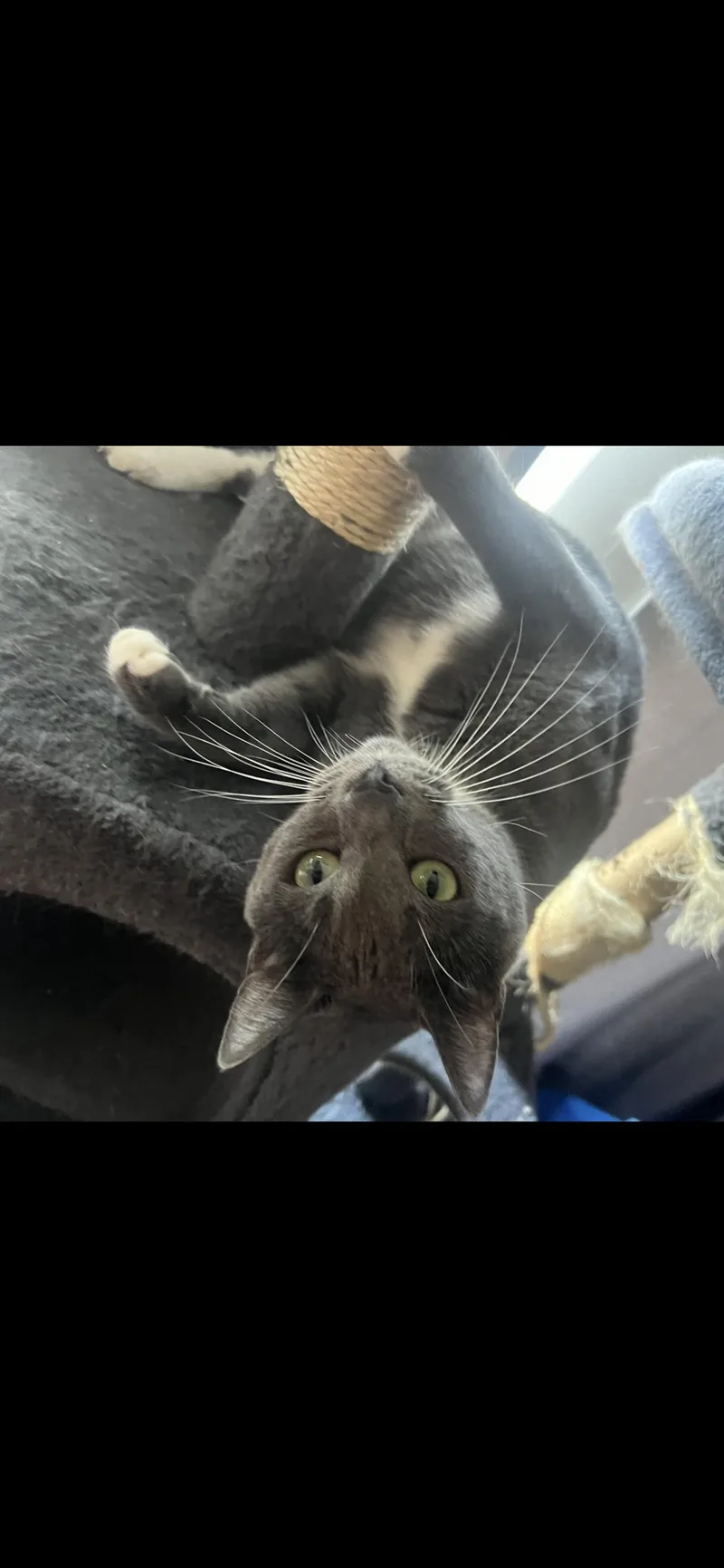 Bing Bong thumbnail 3