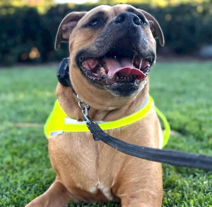 Cjay  The Best thumbnail 2