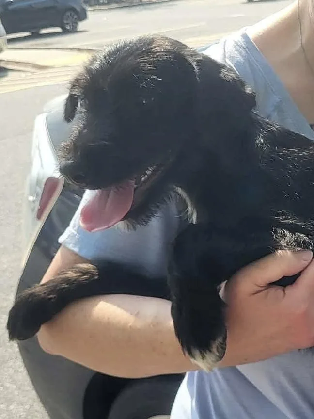 Laszlo