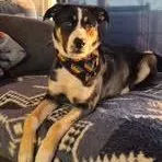 Skittles thumbnail 2