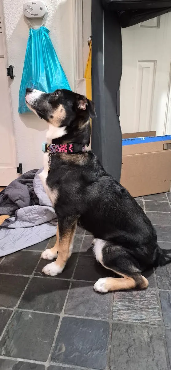 Skittles thumbnail 3