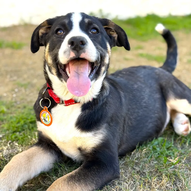 Skittles thumbnail 4