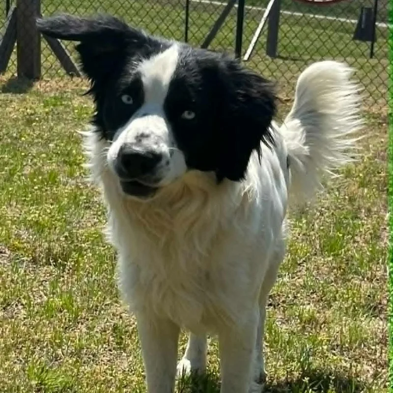 Ct Julian thumbnail 2