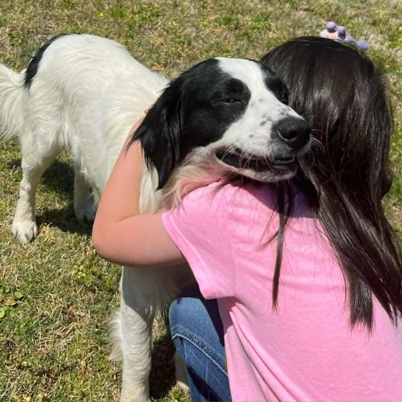 Ct Julian thumbnail 5