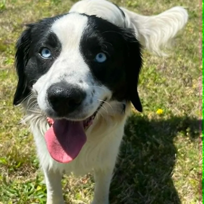 Ct Julian thumbnail 6