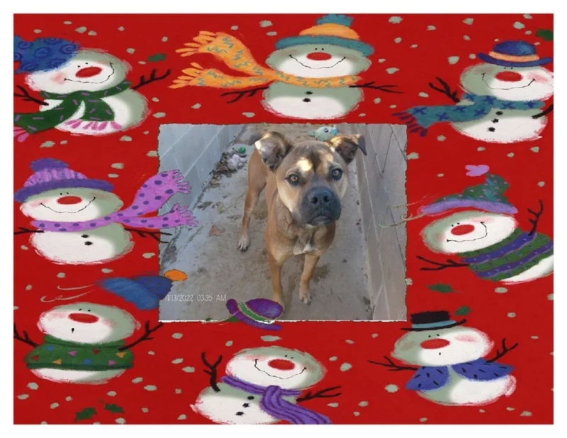 Randy Rudolph thumbnail 6