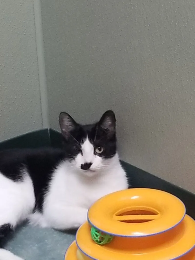 Elsie & Stevie thumbnail 2