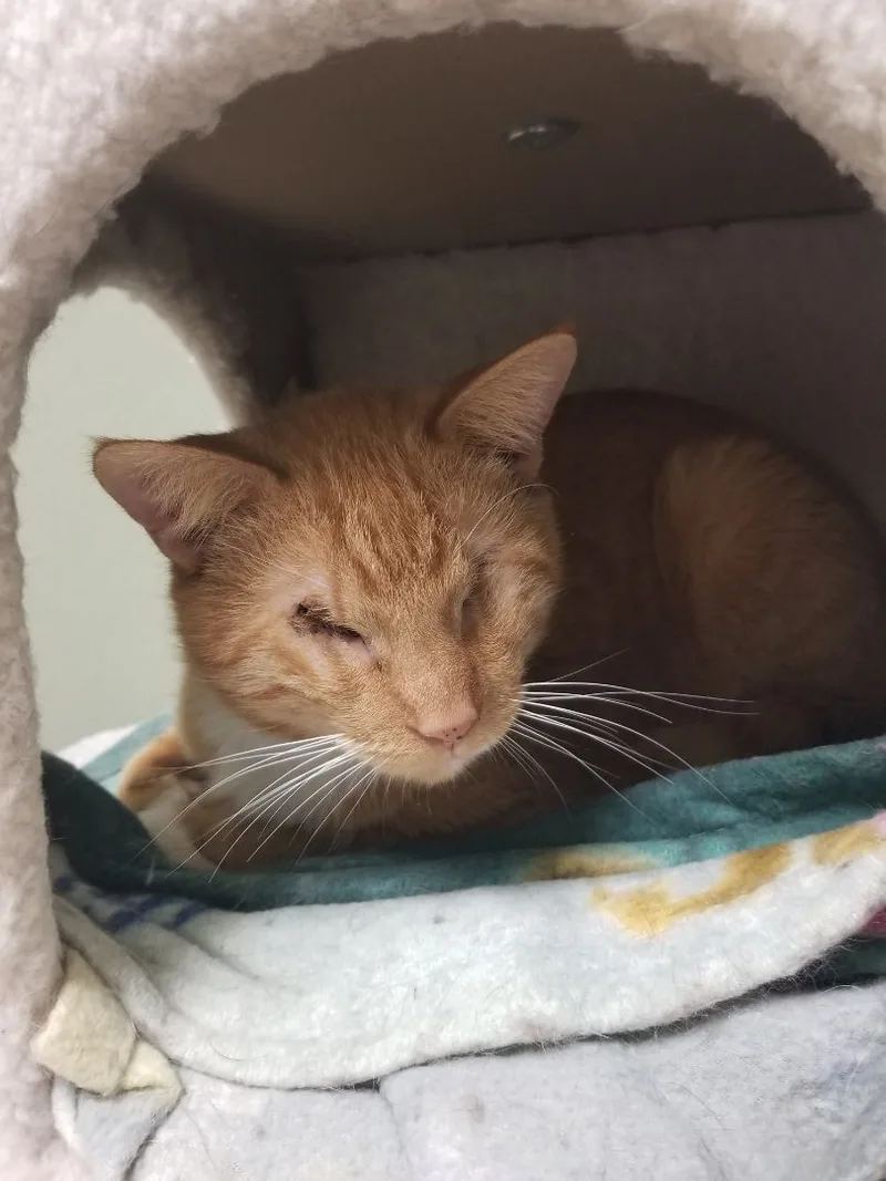 Elsie & Stevie thumbnail 4