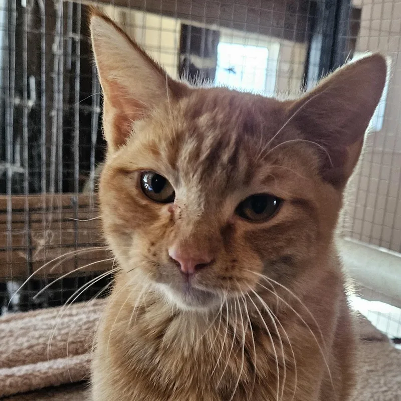 Arlo Bonded With Castor thumbnail 2