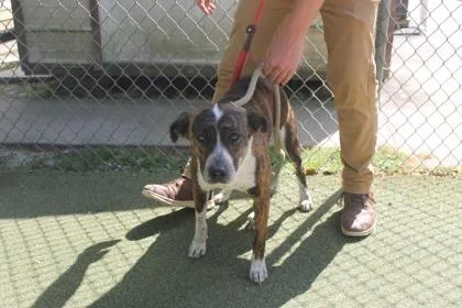 Rosalina thumbnail 2