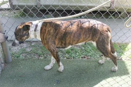 Rosalina thumbnail 3