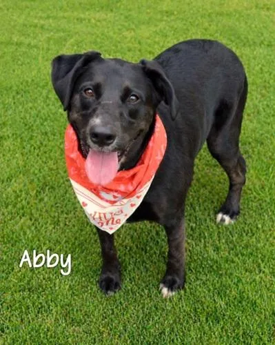 Abby thumbnail 3