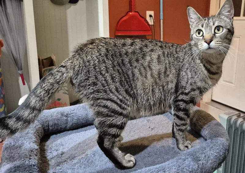 Gabby thumbnail 3