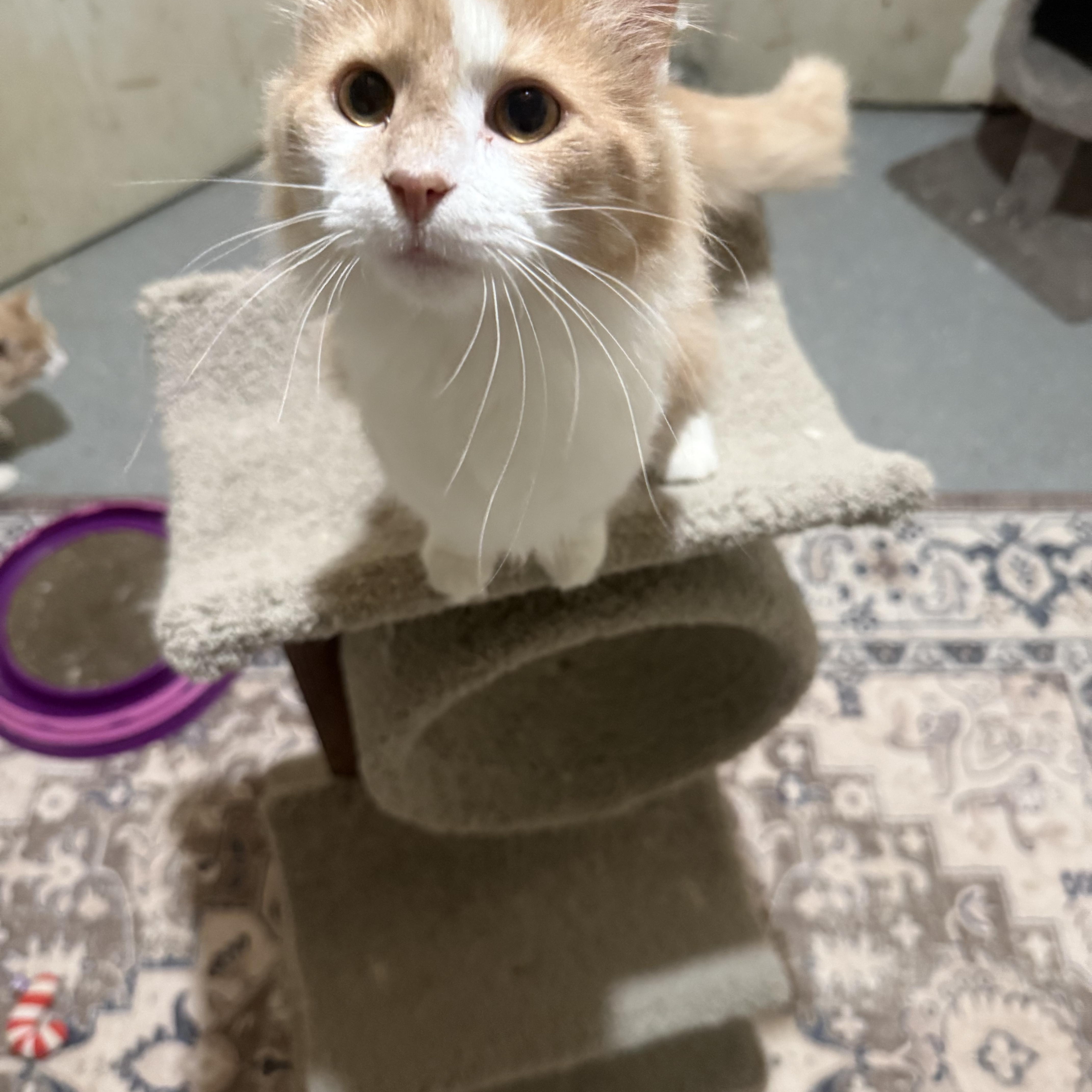 Quigley & Porter thumbnail 2