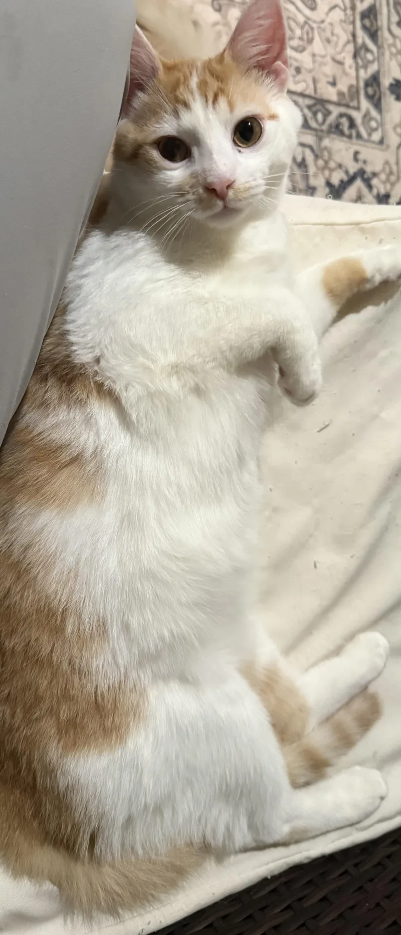 Quigley & Porter thumbnail 4