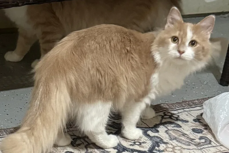 Quigley & Porter thumbnail 6