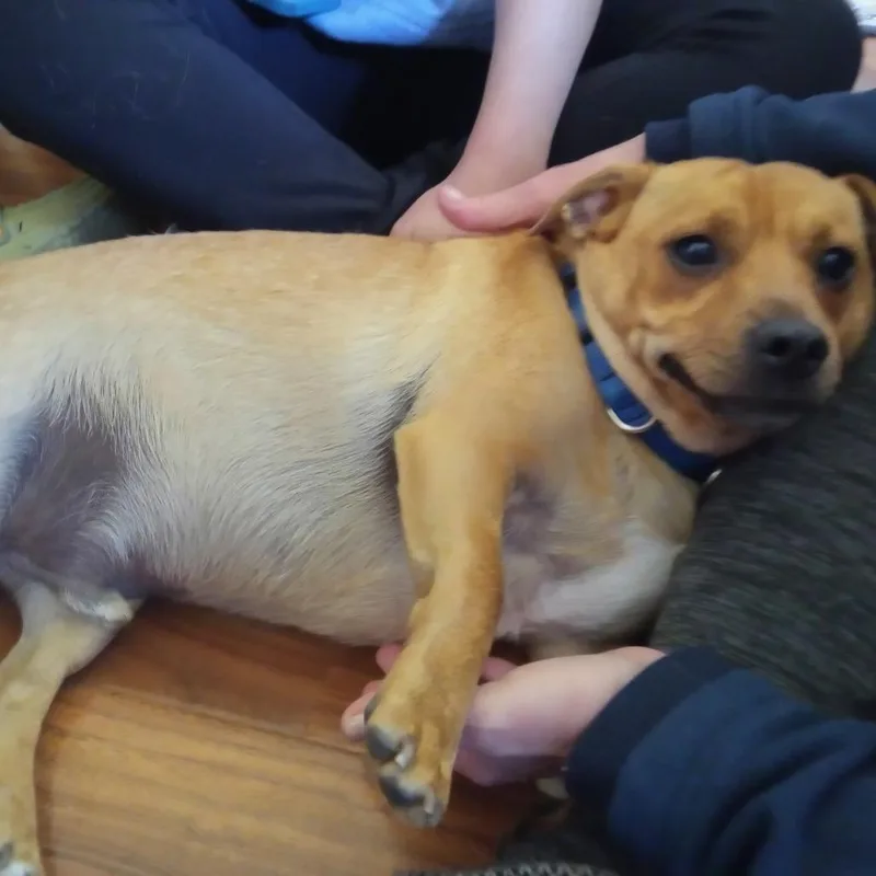 Marshall thumbnail 6