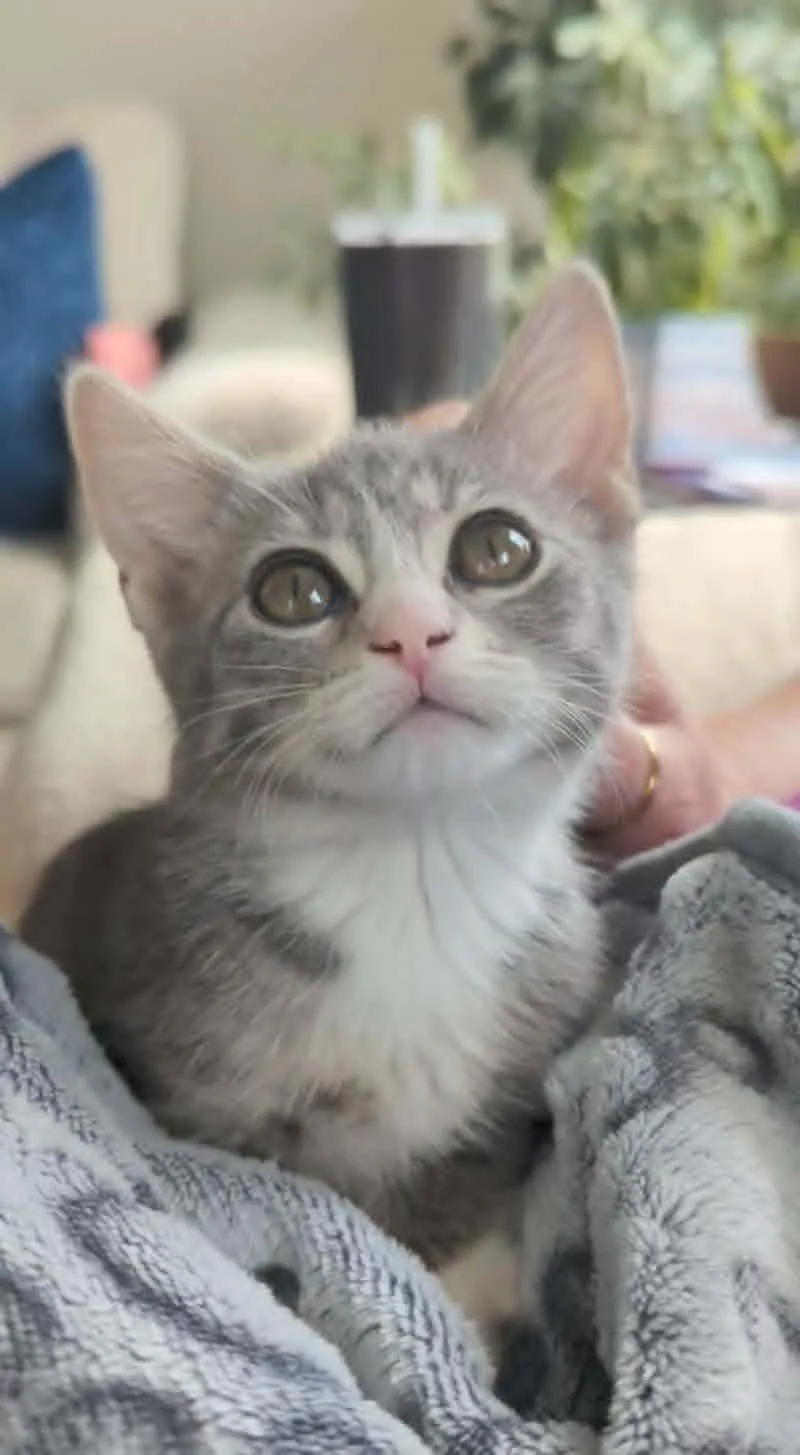 Benny thumbnail 2