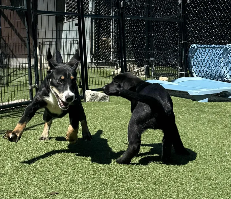 Samantha thumbnail 2