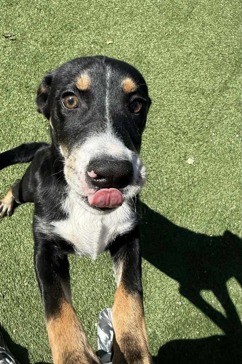 Samantha thumbnail 3