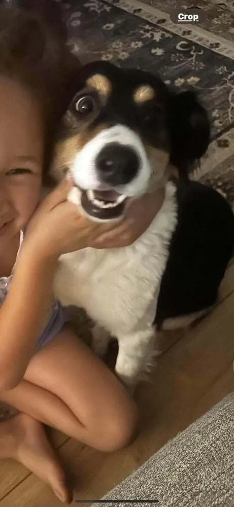 Rosie thumbnail 2
