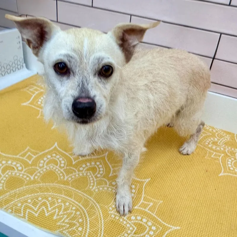 Material Girl thumbnail 2