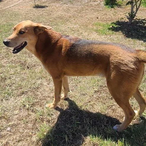Zeus