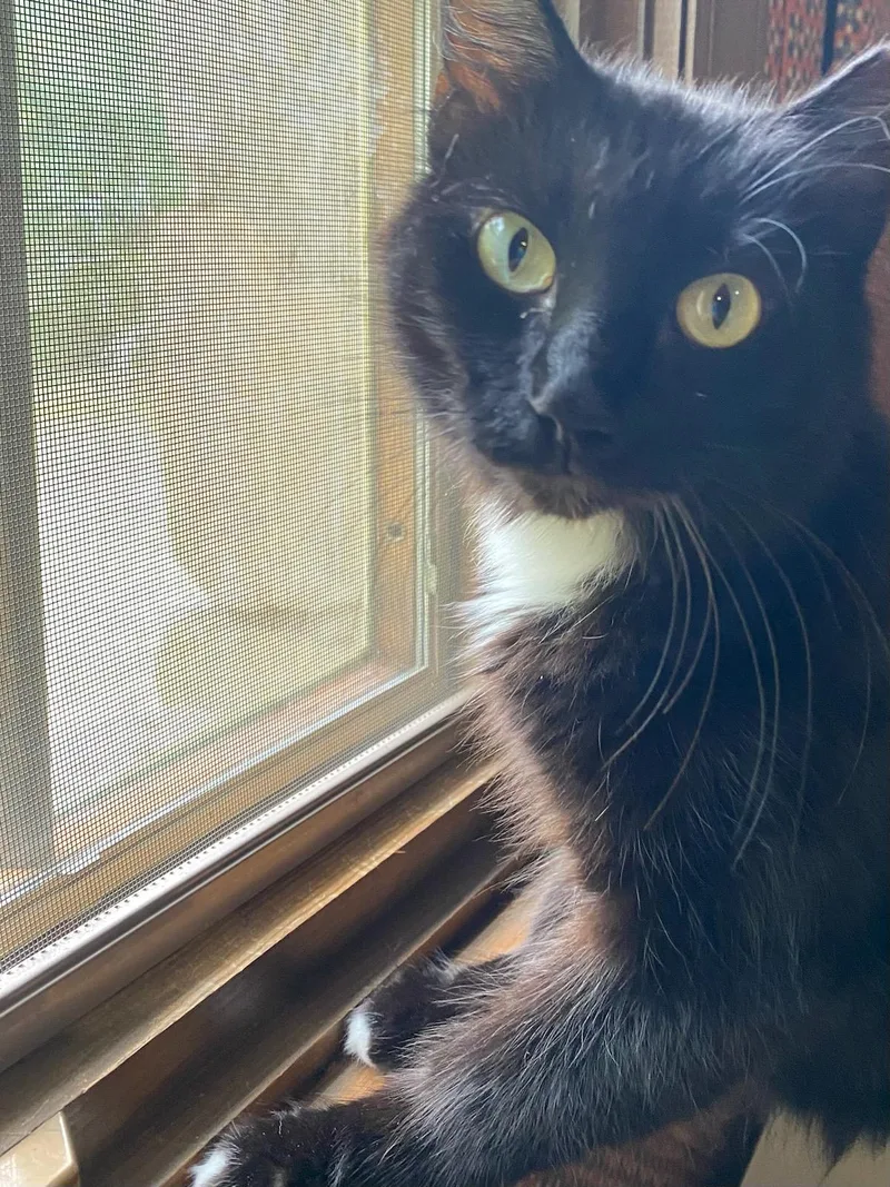 Mama Kiki thumbnail 2