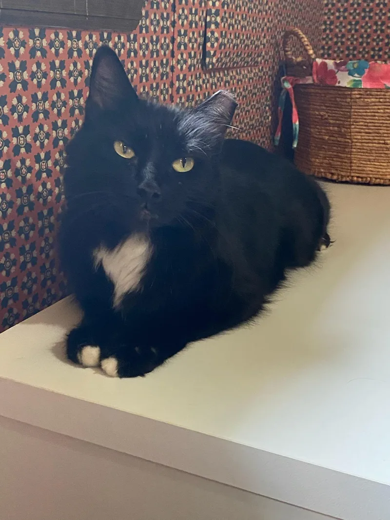 Mama Kiki thumbnail 3