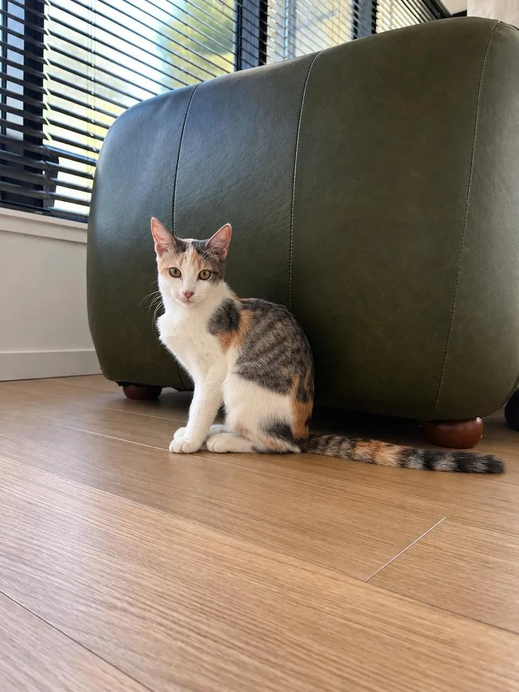 Cleo C. thumbnail 3