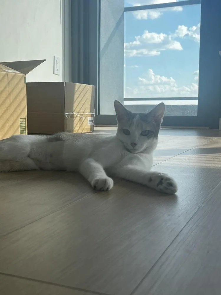 Cleo C. thumbnail 6