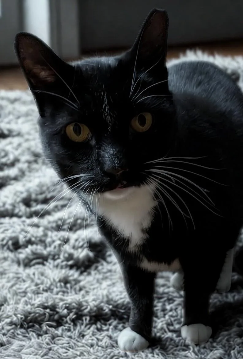 Nike  Goddess Of thumbnail 2